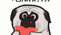 社会热点的图片 吃瓜是什么意思,揭秘网络热词“吃瓜”背后的社会现象