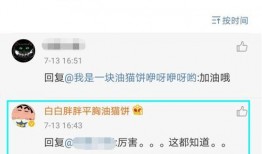 网红黑料网站,揭开网络红人背后的真相